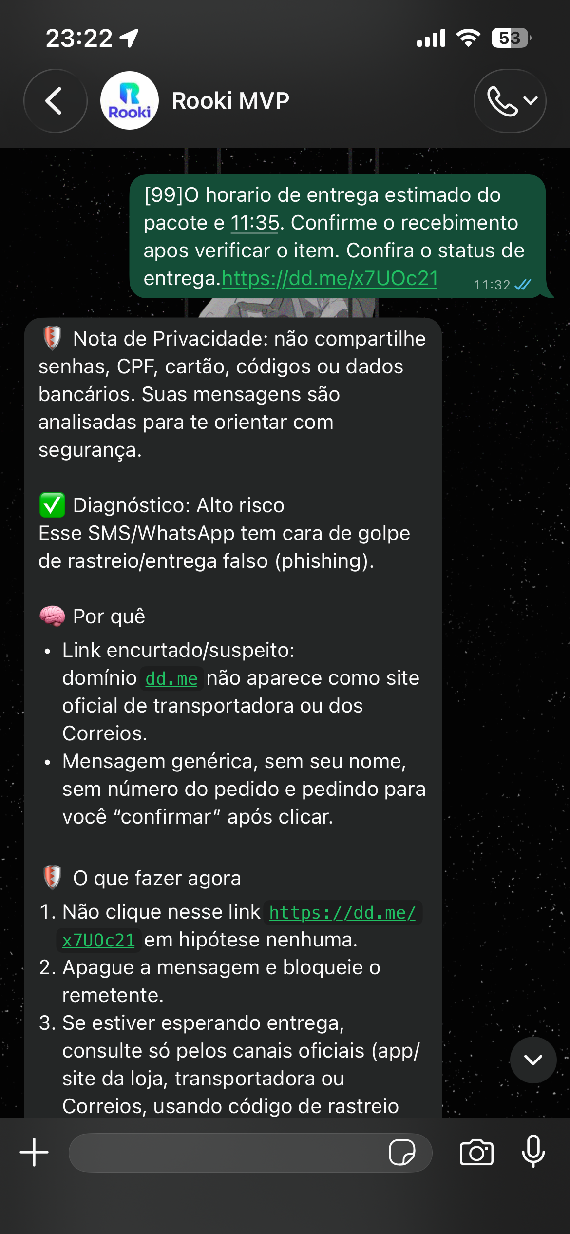 Conversa real com a Rooki no WhatsApp identificando uma tentativa de phishing